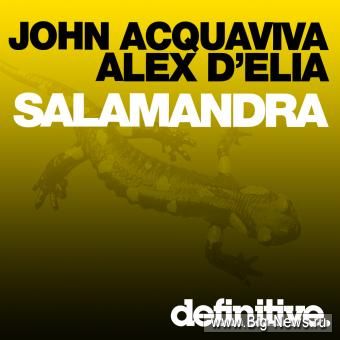 John Acquaviva & Alex DElia - Salamandra (2009)