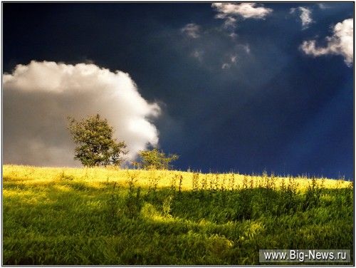 Landscape  The Alps