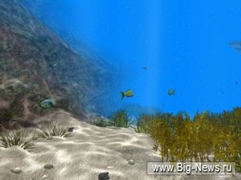 Arid Ocean Marine Life Simulation 3D Screensaver v1.2